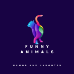 Funny animals. Funny animal videos.