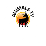 Animals Life Tv