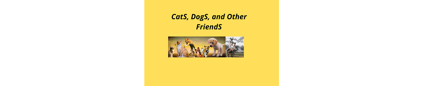 Cats, Dogs and Other Friends