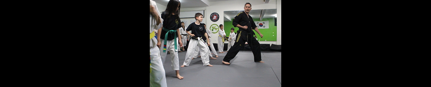 Taekwondo &  Martial Arts Videos