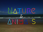 Nature & Animals