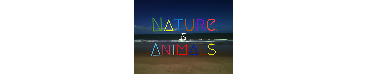 Nature & Animals