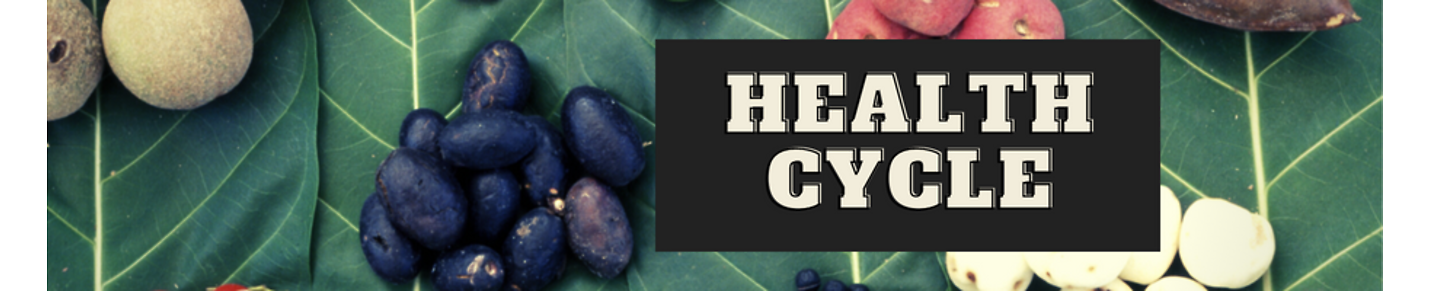 Health Cycle