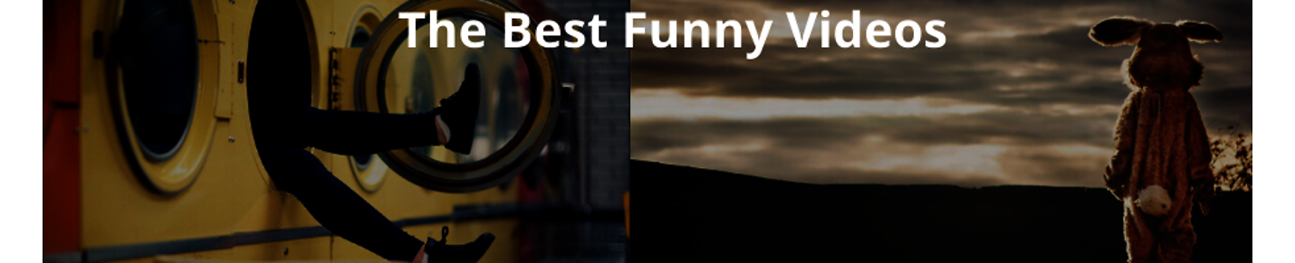 The Best Funny Videos