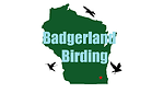BadgerlandBirding