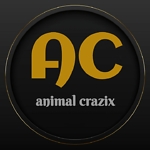In this channel you can see funny animals videos.