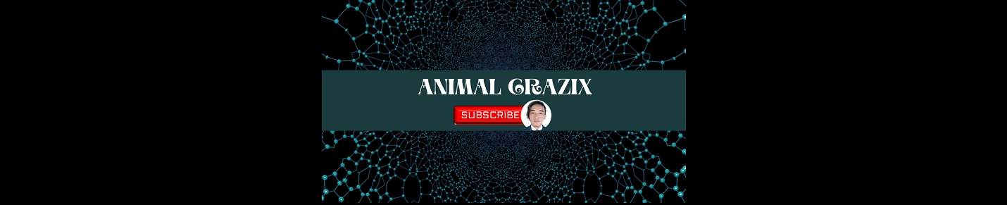 In this channel you can see funny animals videos.