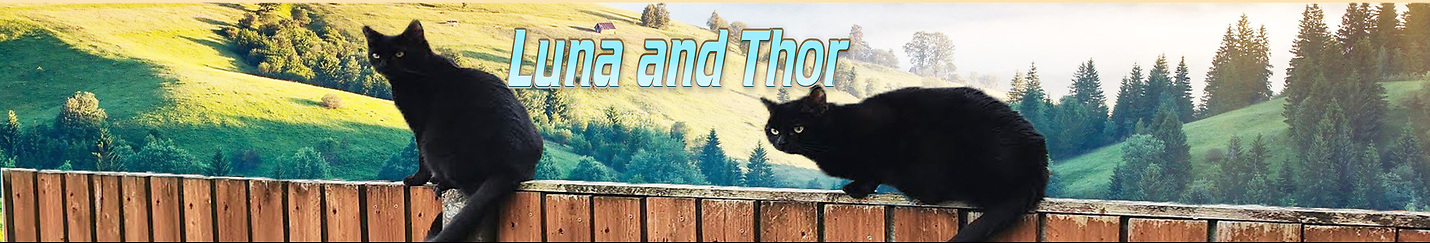 Luna and Thor