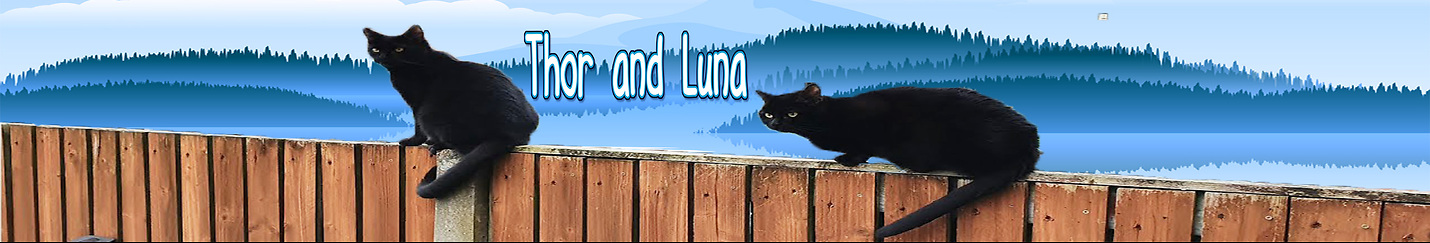 Luna and Thor