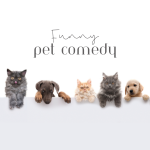 Funny Pet Comedy - Dog, Cat, Parrot, Puppy, Husky, Animals, Fish, Birds, Rabbits, Guinea Pigs, Horses