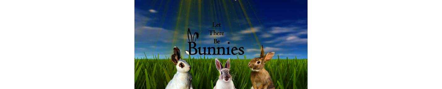 Let There Be Bunnies