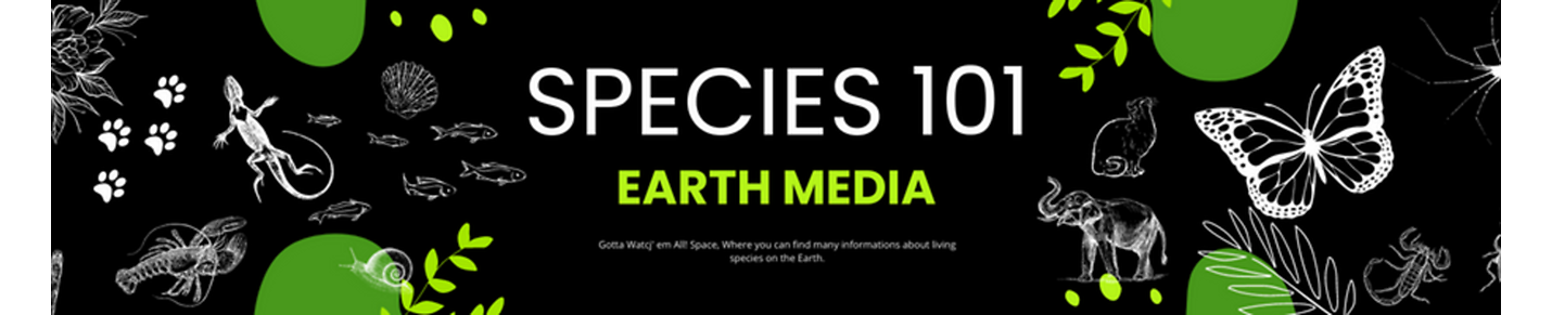 Earth Media SPECIES 101
