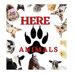 Here are animals