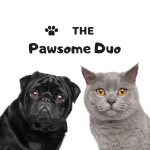 The Pawsome Duo