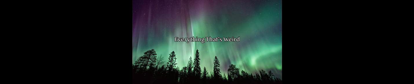 Everything Thats Weird Podcast