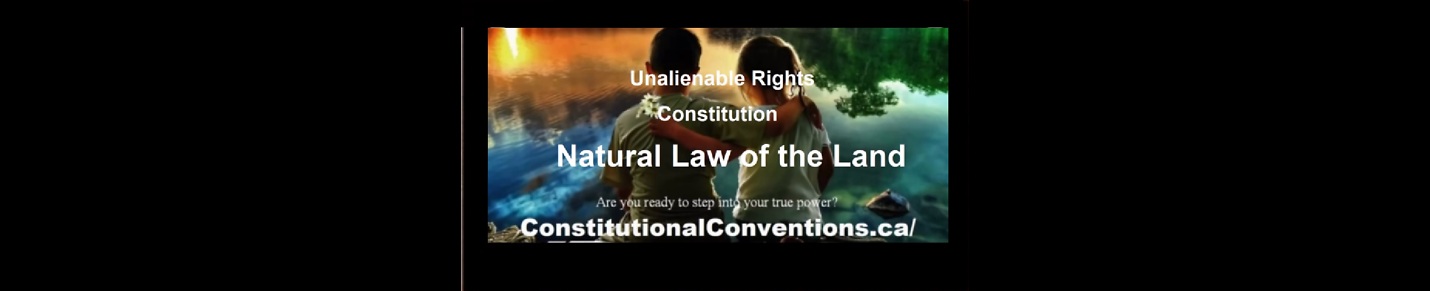 We The People - Constitutional Conventions