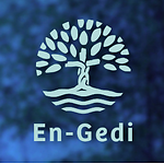 En-Gedi źródła