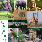 Takinanet traz para você que e amante de animais, os vídeos mais Fofos e engraçados da internet!