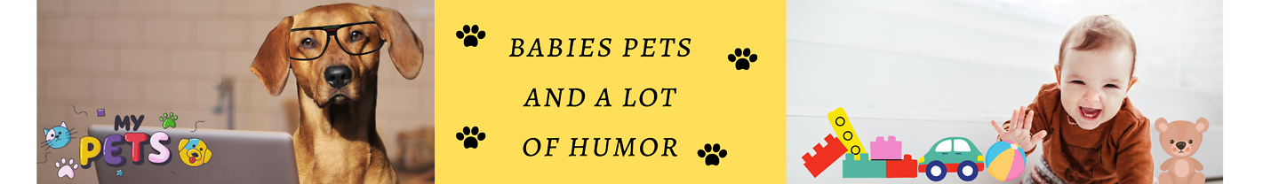 babies pets and a lot of humor