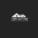 Mr. Gutter Cleaner