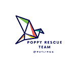 Poppy Rescue Team