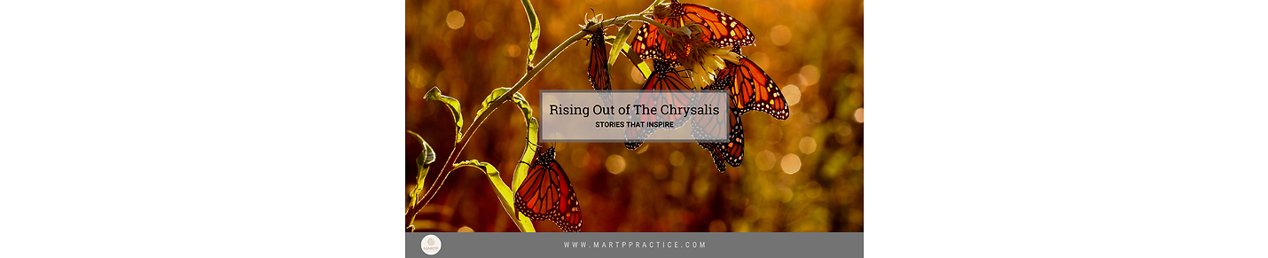 Rising Out of The Chrysalis - Stories that Inspire