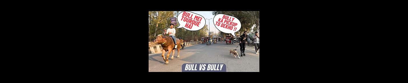 Aman and Bully