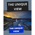 The Unique View