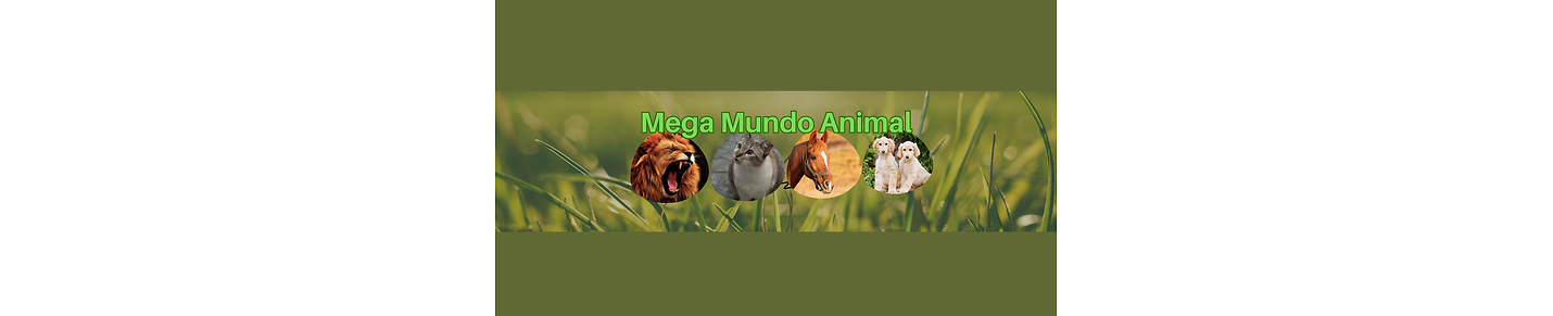 Mega Mundo Animal