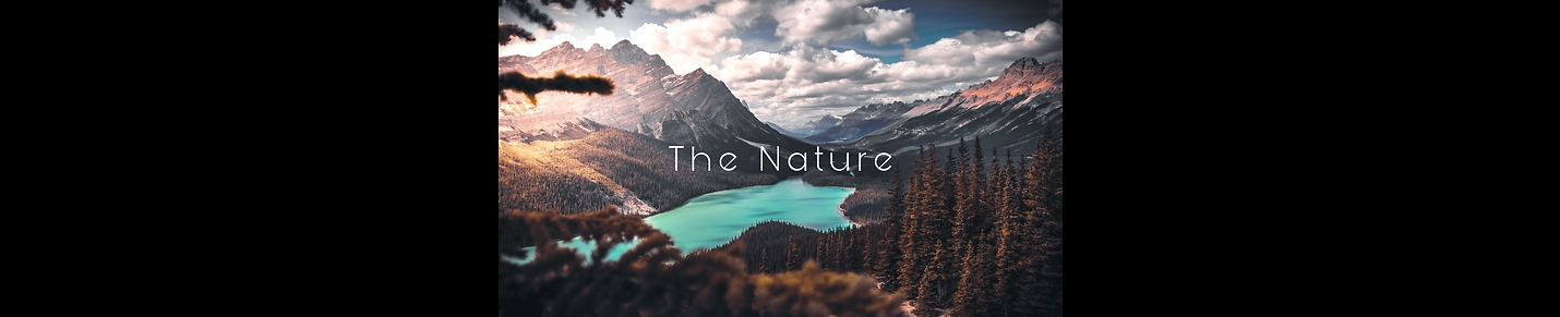 The Nature