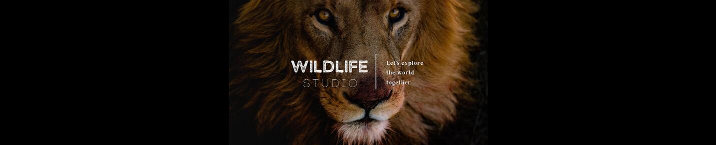 Explore the wildlife videos