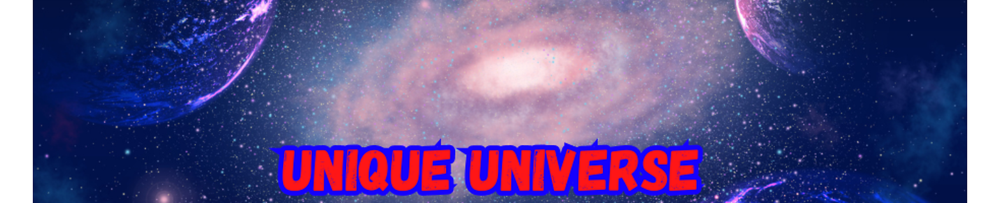 unique universe