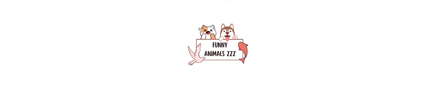 FunnyanimalsZZZ