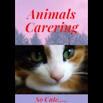Every Animals Carering Details