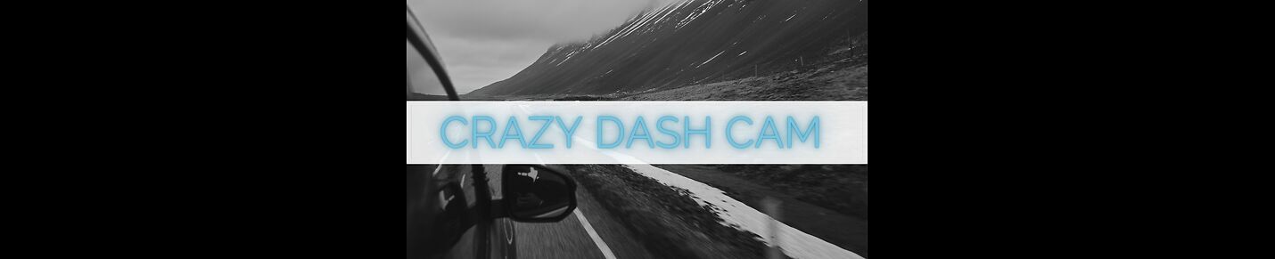 Dashcam Adventures Unleashed