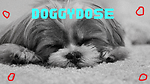 DoggyDose