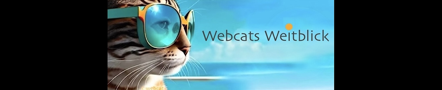 Webcats Weitblick