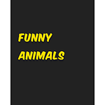 Entertainment with funny animals