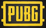 Casual PUBG Player