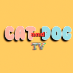 CatAndDogTv