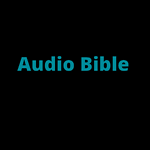 The Holy bible audio