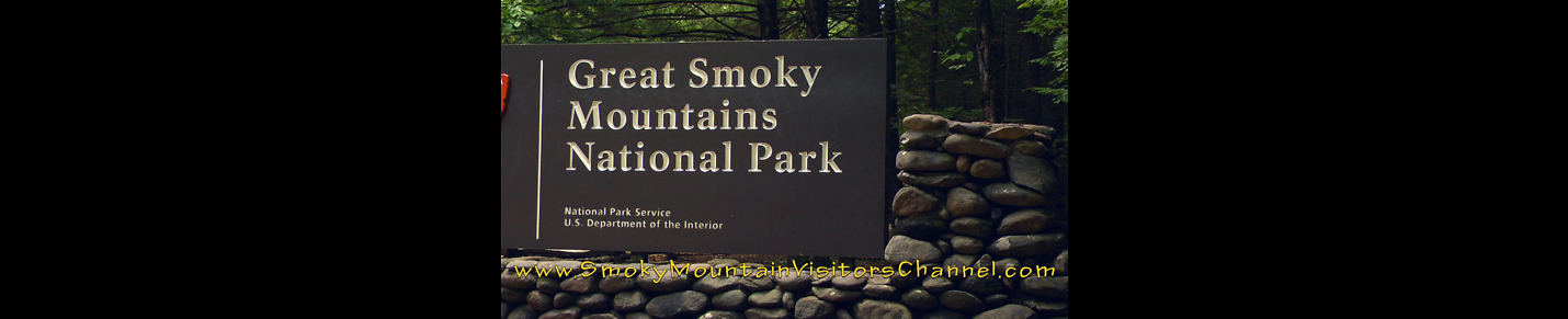 Smoky Mountain Visitors Channel