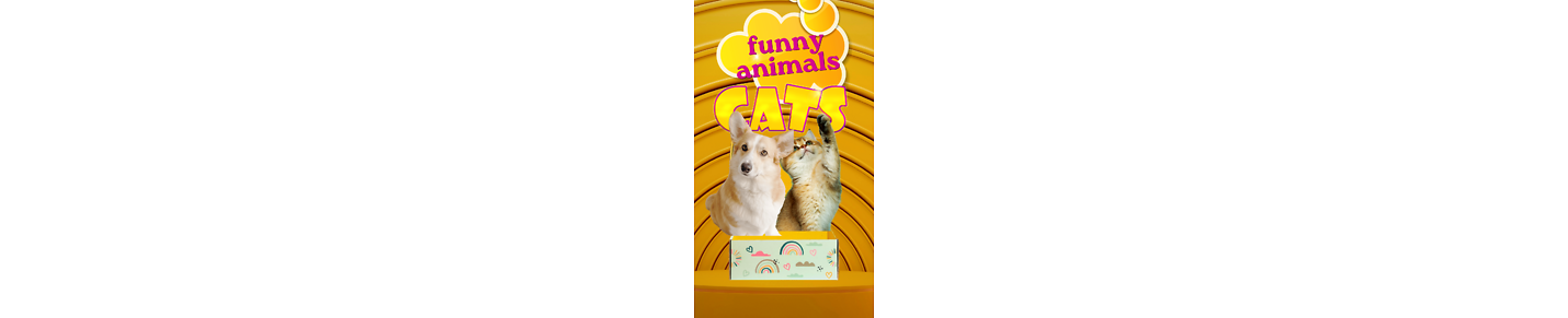 CHANNELfunnyanimals