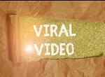Best Viral Videos