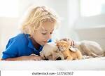 cute animals  cat and doog and baby full funy videos