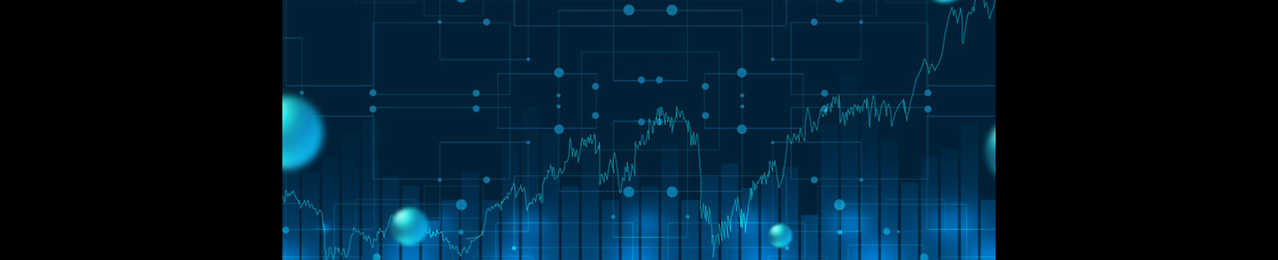 THE MASKED INVESTOR SHOW