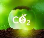 CarbonCreditsMarketplace