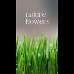 Nature0Flowers