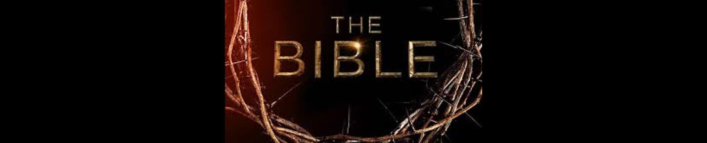 The Bible Narrated