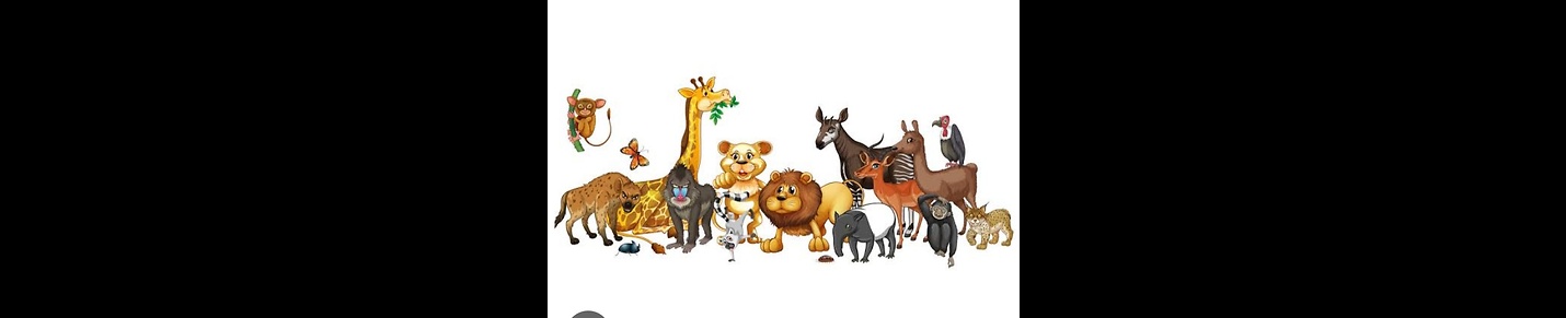 Welcome animal kids TV